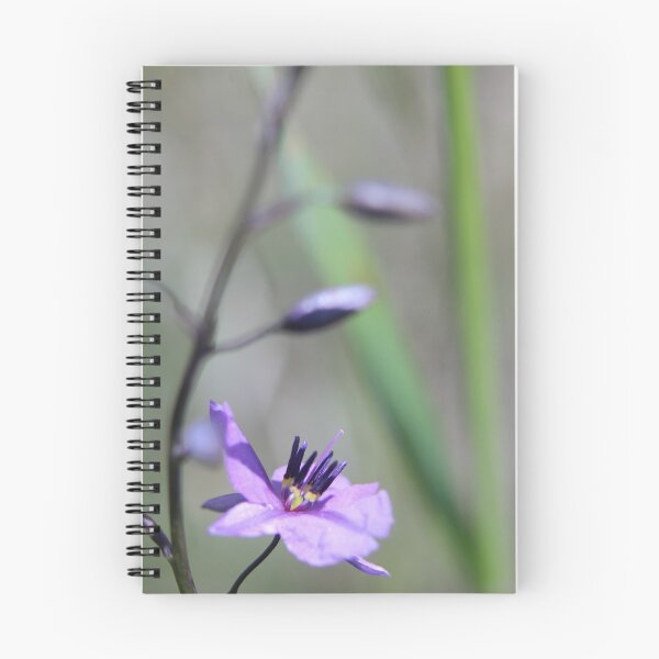 Item preview, Chocolate Lily (Arthropodium strictum) designed and sold by takver.
