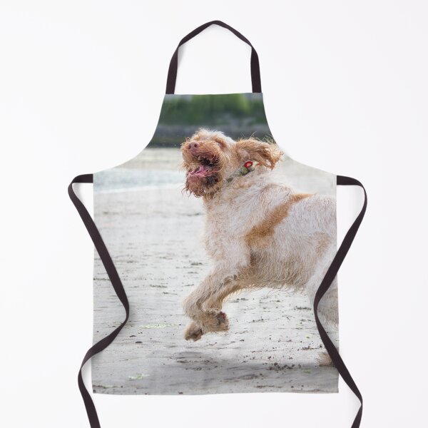 Item preview, Playtime on the beach Spinoni by heidiannemorris designed and sold by FOLK ART FUSION by heidiannemorris.
