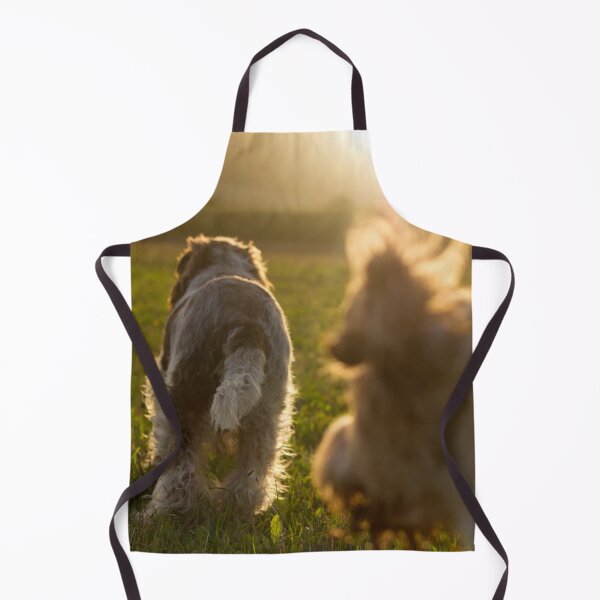 Item preview, Chasing the sunset Spinoni by heidiannemorris designed and sold by FOLK ART FUSION by heidiannemorris.