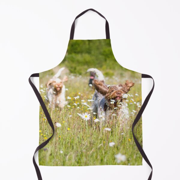 Item preview, Wild daisies Spinoni by heidiannemorris designed and sold by FOLK ART FUSION by heidiannemorris.