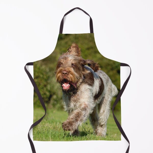 Item preview, Running in Summer Spinone by heidiannemorris designed and sold by FOLK ART FUSION by heidiannemorris.