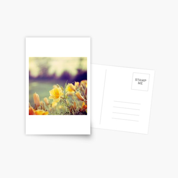 day tripper Postcard