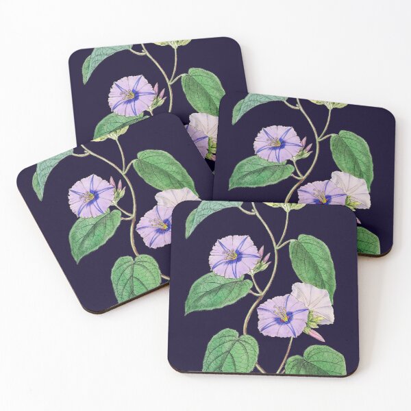 Item preview, Morning glory Jacquemontia TDC designed and sold by domdjs4239.