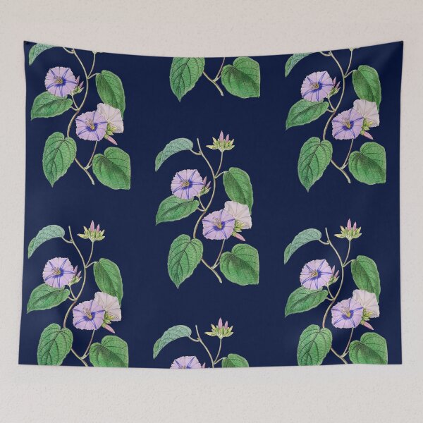 Item preview, Morning glory Jacquemontia TDC designed and sold by domdjs4239.