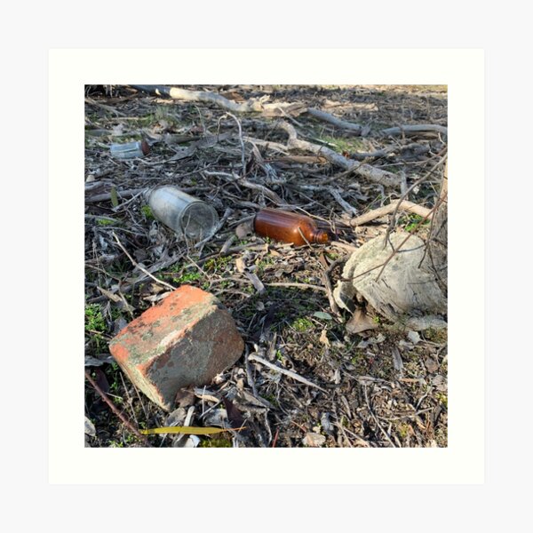 Muckleford Forest Relics of Man Art Print