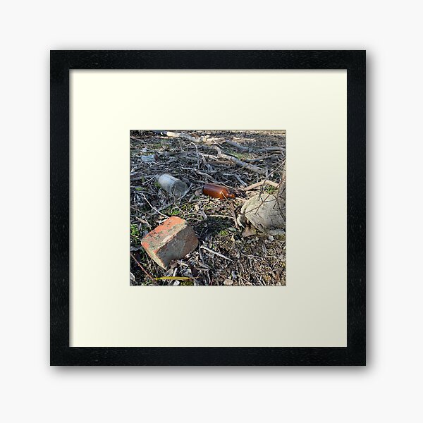 Muckleford Forest Relics of Man Framed Art Print