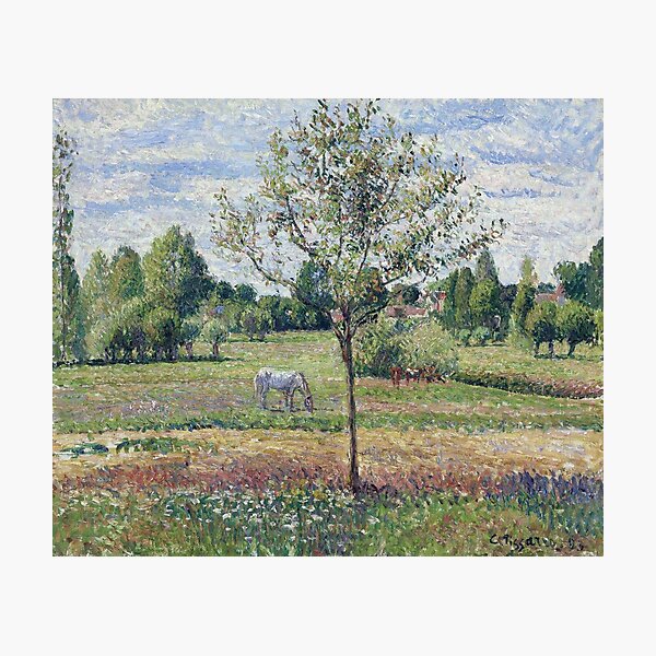 Item preview, Camille Pissarro - The Meadow With A Horse, Cloudly Weather, Eragny, 1893 designed and sold by artcenter.