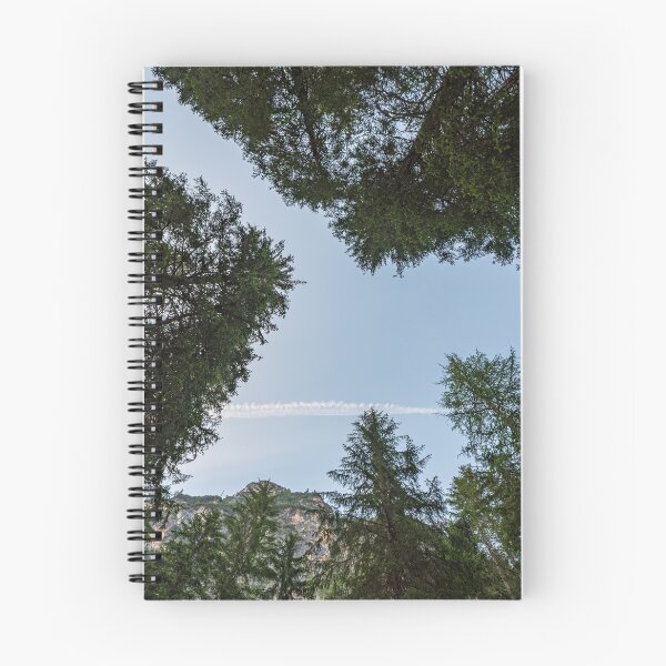 Item preview, Looking upwards you can see a blue sky among the tall trees designed and sold by brambillasimone.