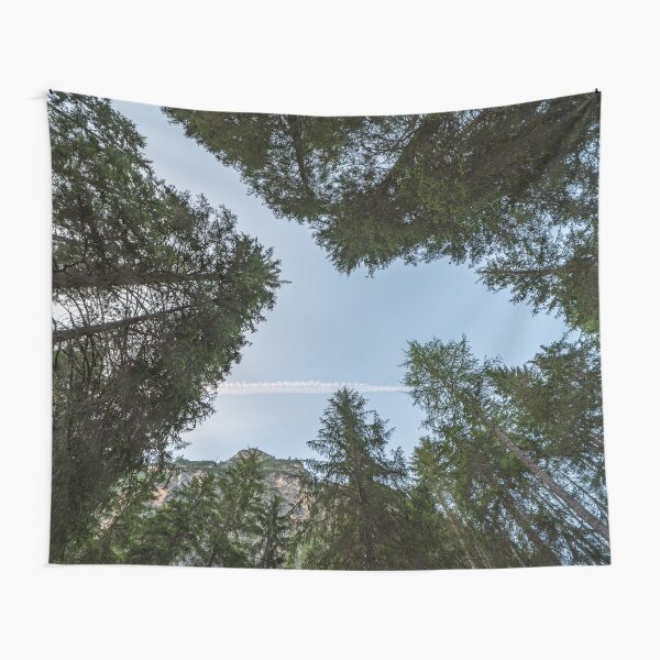 Item preview, Looking upwards you can see a blue sky among the tall trees designed and sold by brambillasimone.