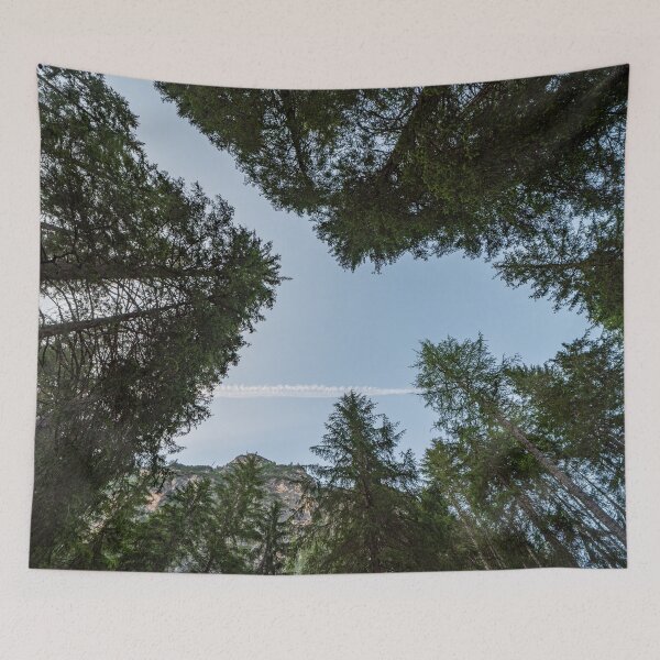 Item preview, Looking upwards you can see a blue sky among the tall trees designed and sold by brambillasimone.