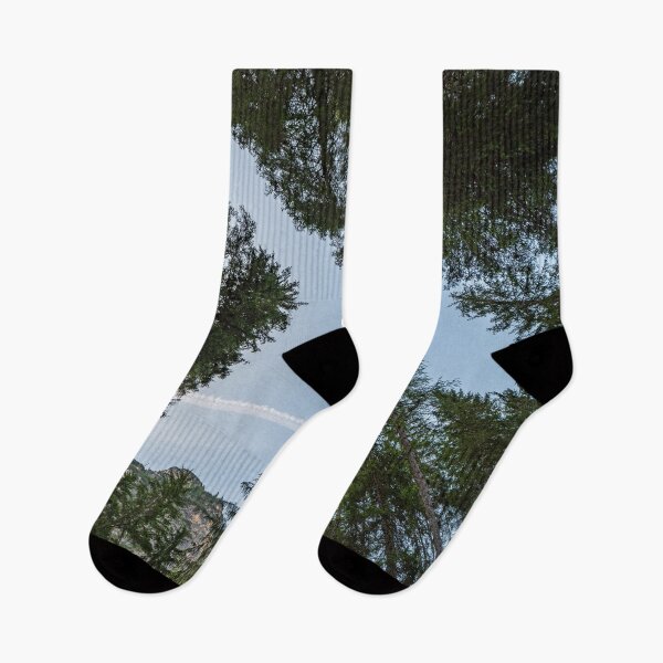 Item preview, Looking upwards you can see a blue sky among the tall trees designed and sold by brambillasimone.