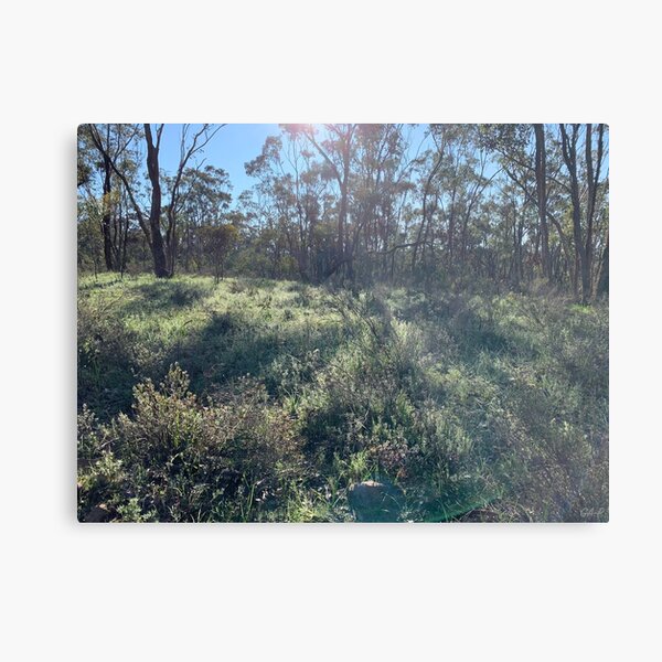 Item preview, Gough's Range Sunny Northern Elevation designed and sold by JenGo Creative.