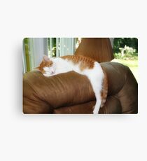 Nappin' Canvas Print