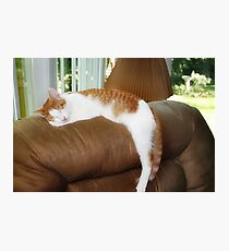 Nappin' Photographic Print