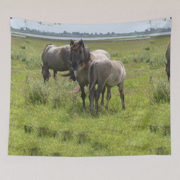 Item preview, Konik horses in the wetlands designed and sold by CamphuijsenArt.