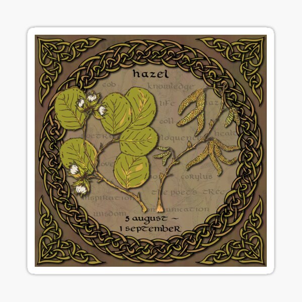 Tree Calendar Hazel Sticker