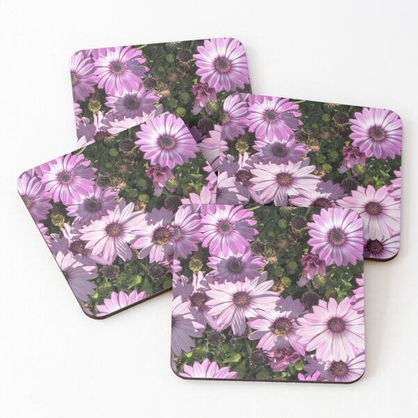 Item preview, African Daisies (2) designed and sold by Josette Halls.