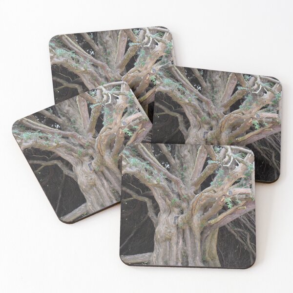 Item preview, Tree trunk designed and sold by Boscastle.