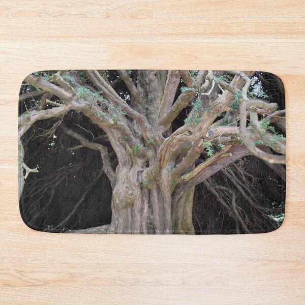 Item preview, Tree trunk designed and sold by Boscastle.