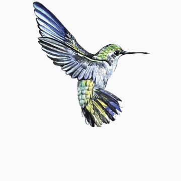 Artwork thumbnail, Hummingbird by Anna Yudina