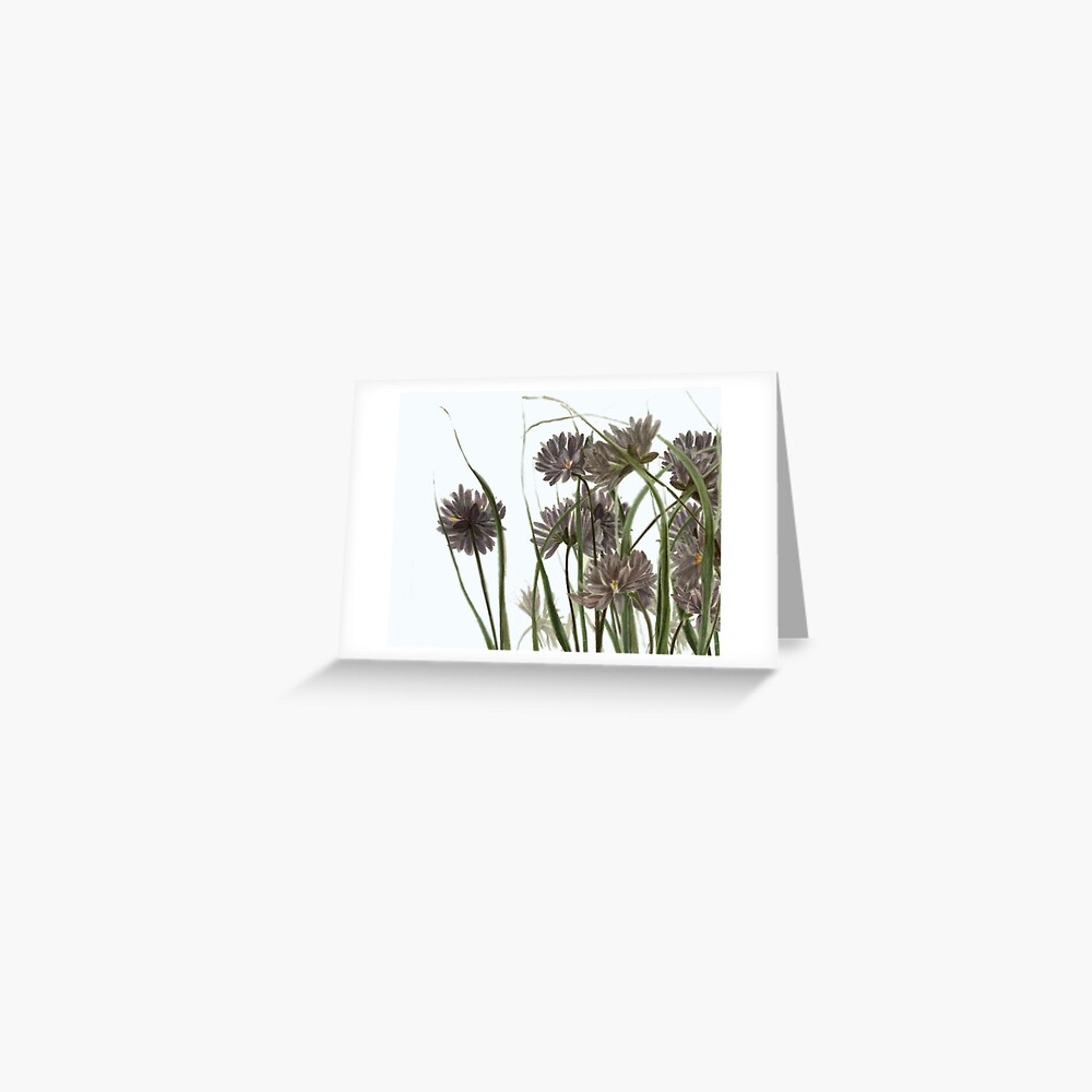 medley Greeting Card