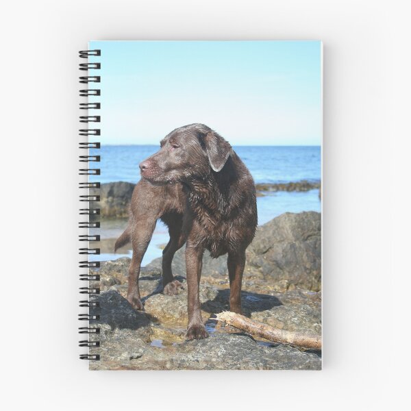 Item preview, Chocolate labrador on the beach designed and sold by Espirius.