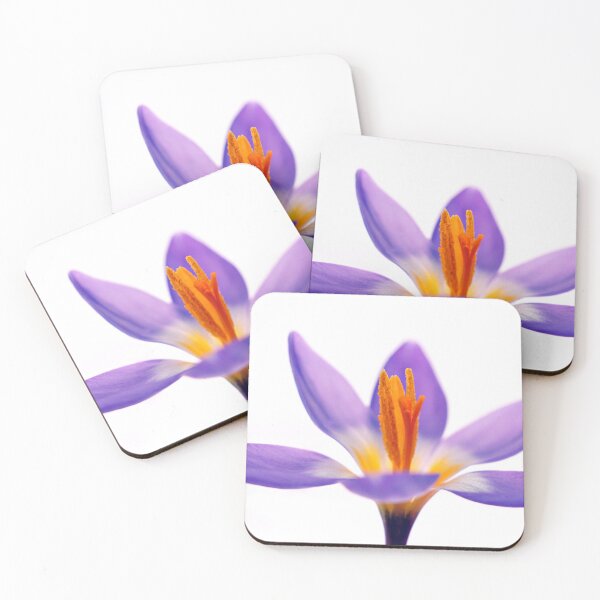 Item preview, Azafrán de primavera designed and sold by inlightimagery.