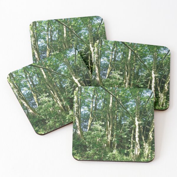 Item preview, Sunlight on tree trunks, Hob Moor, York designed and sold by paulboizot.