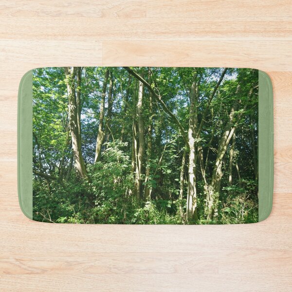 Item preview, Sunlight on tree trunks, Hob Moor, York designed and sold by paulboizot.
