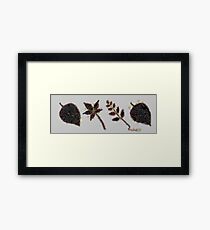 Fruit & Vegetables Leaves Framed Print