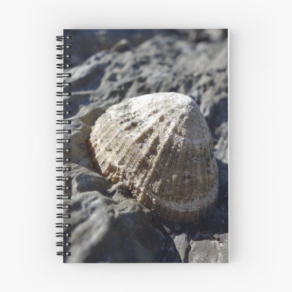 Item preview, Limpet designed and sold by Reggie72.