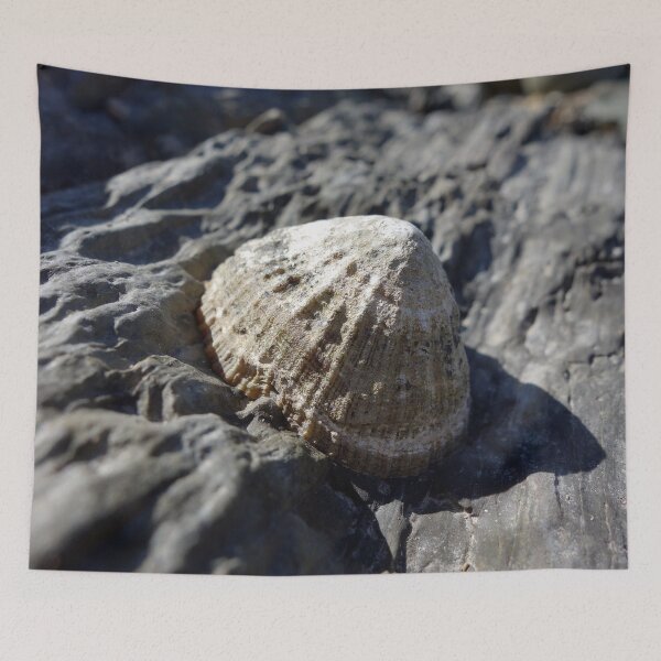 Item preview, Limpet designed and sold by Reggie72.