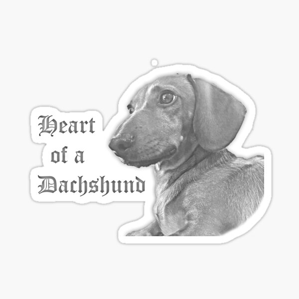 Item preview, Heart of a Dachshund designed and sold by Buster’s Emporium.