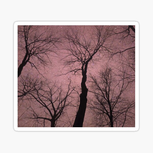 Trees Are Poems Sticker