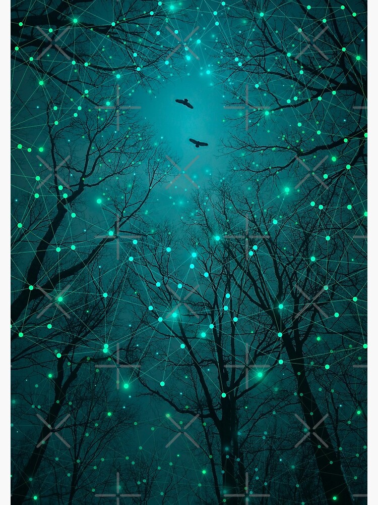 Silently, One by One, the Stars Blossomed by soaringanchor