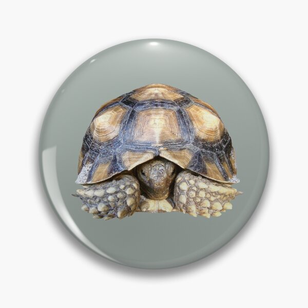Item preview, Sulcata Tortoise designed and sold by misimichu.