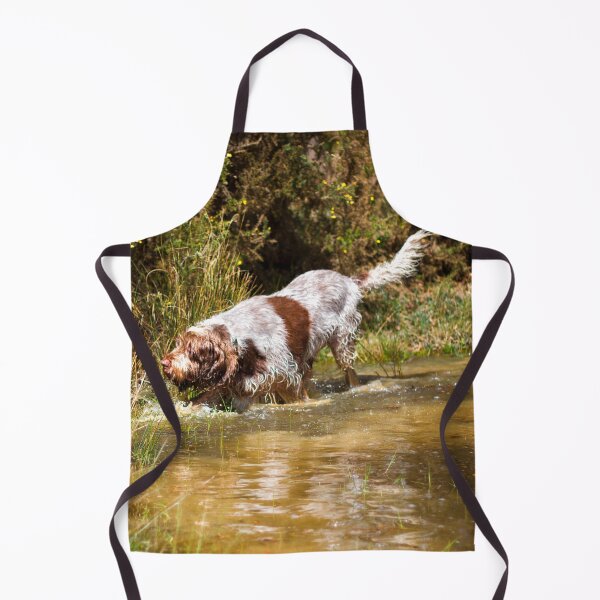 Item preview, Water stalking Spinone designed and sold by FOLK ART FUSION by heidiannemorris.