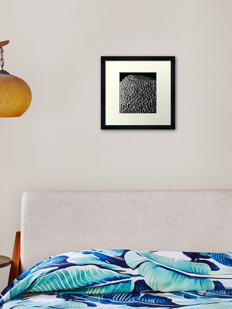 Thumbnail 2 of 7, Framed Art Print, Coral designed and sold by QandQs.