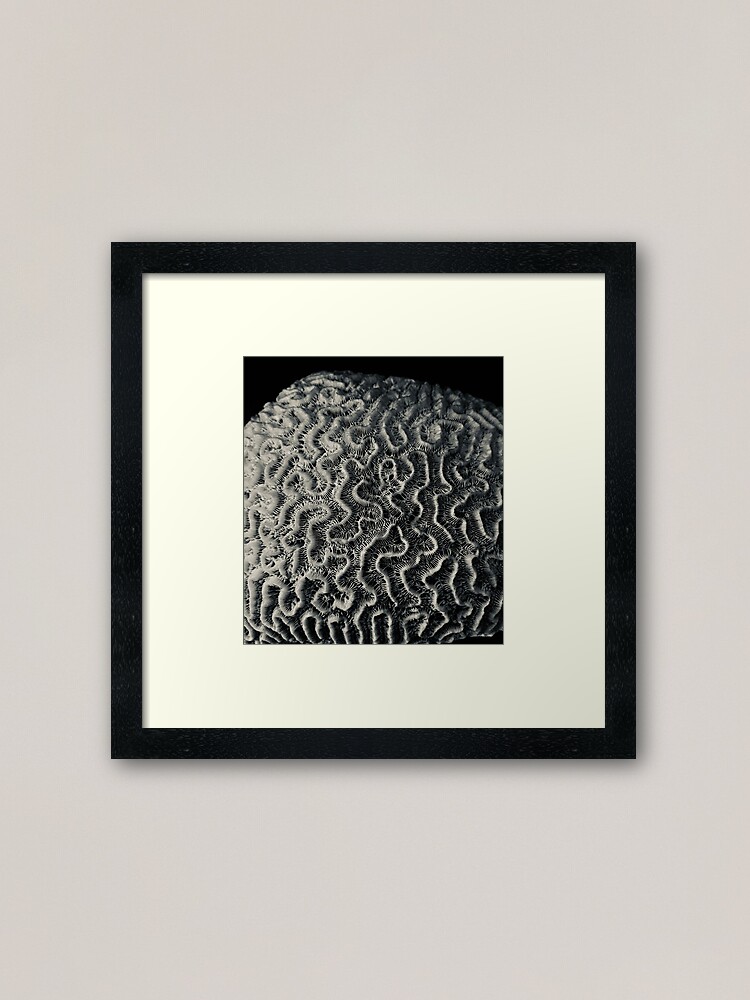 Alternate view of Coral Framed Art Print