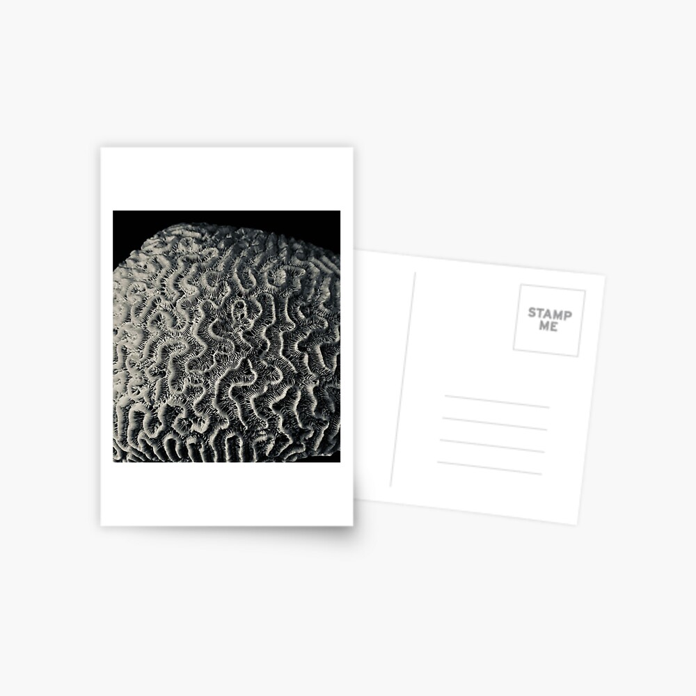 Item preview, Postcard designed and sold by QandQs.