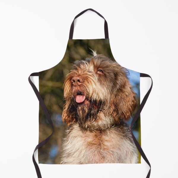 Item preview, Sunny day Spinone designed and sold by FOLK ART FUSION by heidiannemorris.