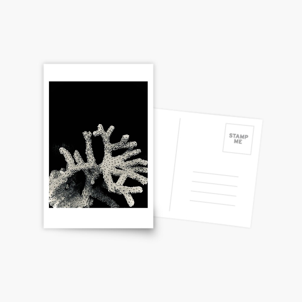 Item preview, Postcard designed and sold by QandQs.