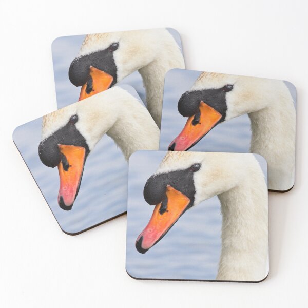 Item preview, Mute Swan, Cygnus olor, Portrait designed and sold by Rob Cole Photography.
