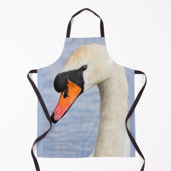 Item preview, Mute Swan, Cygnus olor, Portrait designed and sold by Rob Cole Photography.