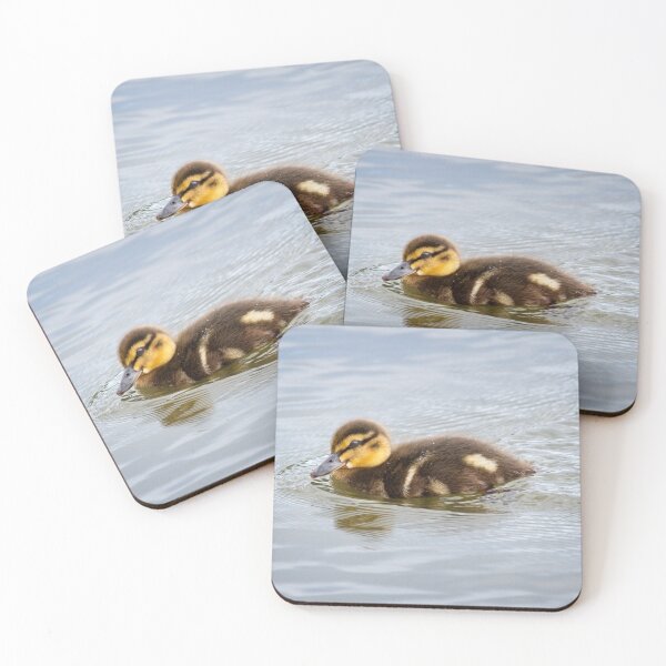 Item preview, Cute Mallard Duckling, Anas platyrhynchos designed and sold by Rob Cole Photography.