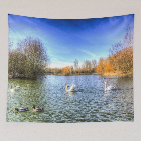 Item preview, The Peaceful Swan Lake designed and sold by Londonimages.
