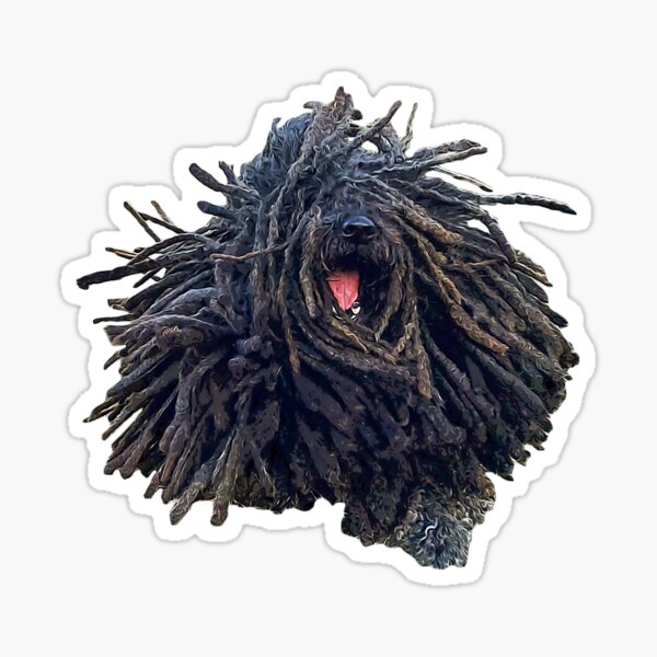 Hungarian Puli Puppy Dog Dreadlocks Sticker