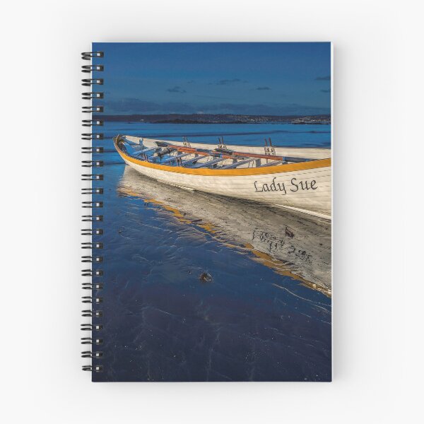 Item preview, Pilot Gig Lady Sue designed and sold by Barrie Tumbridge.