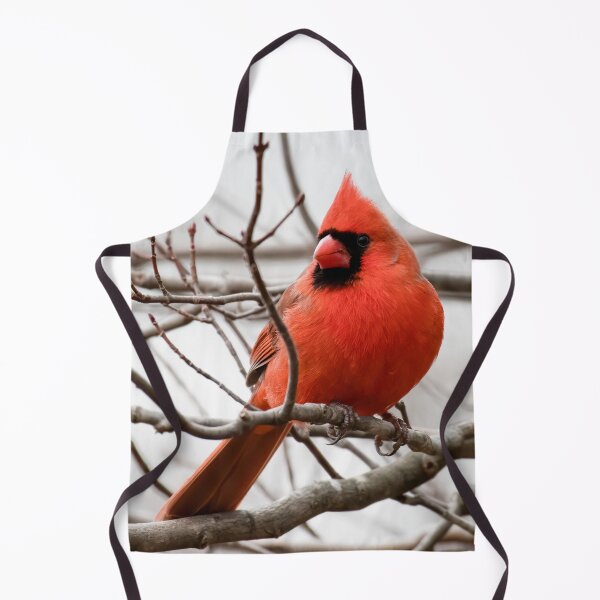 Item preview, Resting cardinal designed and sold by Jesse Barnett.