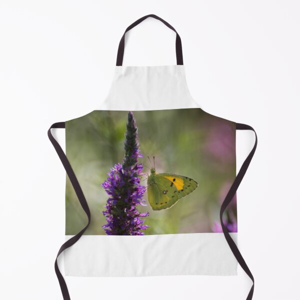 Item preview, Dark clouded yellow butterfly designed and sold by pietrofoto.